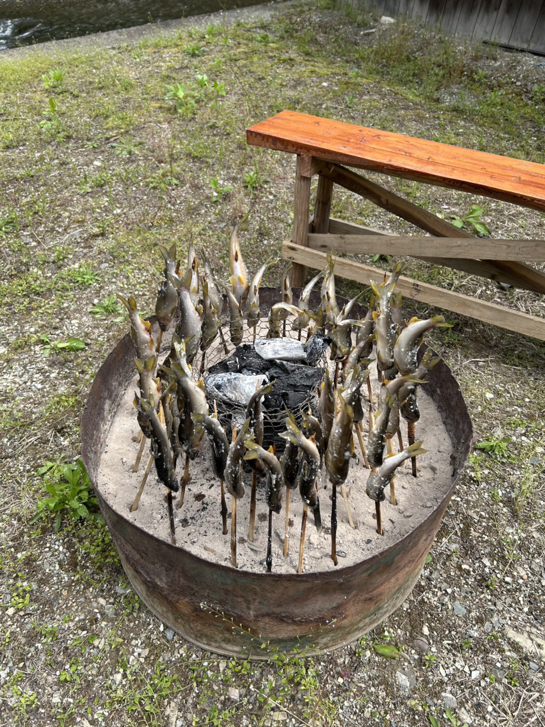 鮎の串焼き